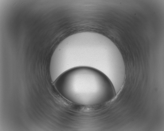 X0000062130174200512091000