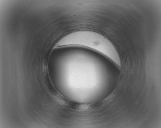 X0000062130176200512091000