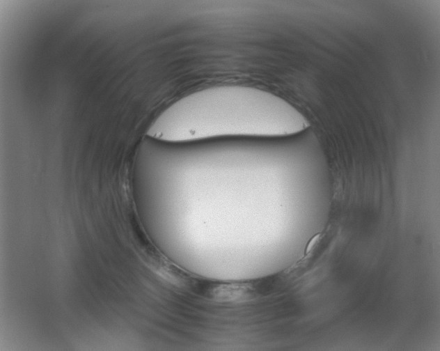 X0000062130179200512091000