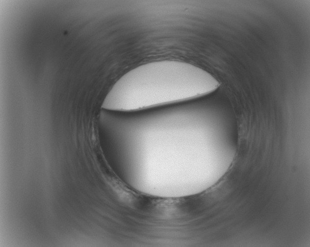 X0000062130182200512091000