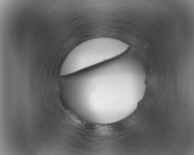 X0000062130185200512091000