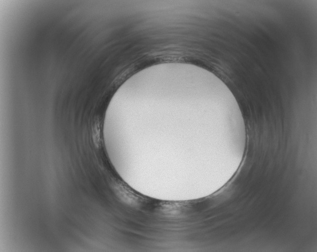 X0000062130190200512091000