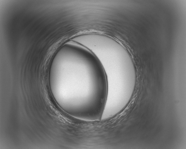X0000062130193200512090959