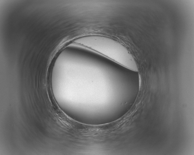 X0000062130195200512090959