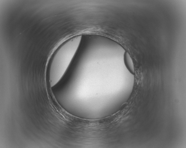 X0000062130196200512090959