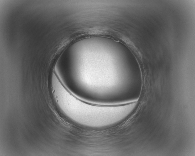 X0000062130201200512090959