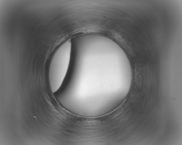 X0000062130202200512090959