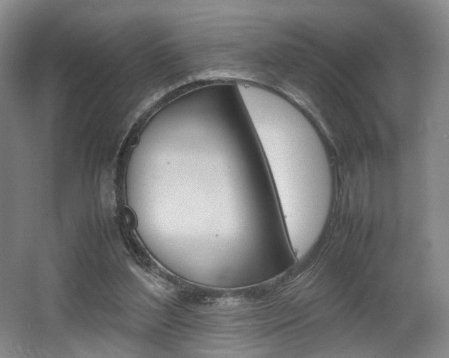 X0000062130204200512090959