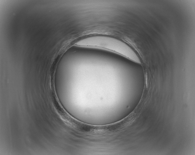 X0000062130205200512090959