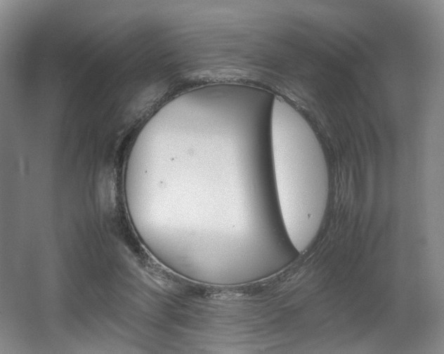 X0000062130206200512090959