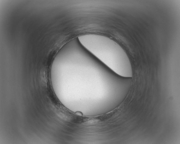 X0000062130210200512090959