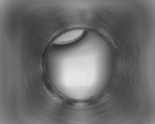 X0000062130212200512090959