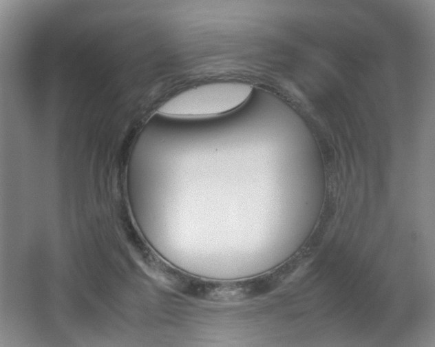 X0000062130213200512090959