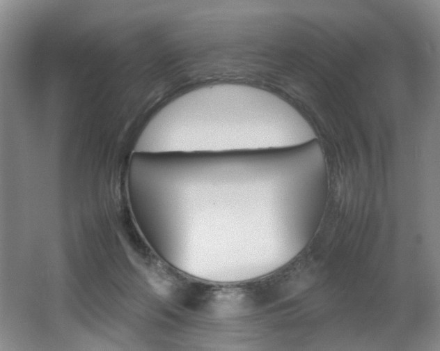 X0000062130214200512090959