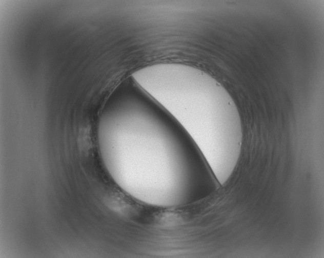 X0000062130224200512090959