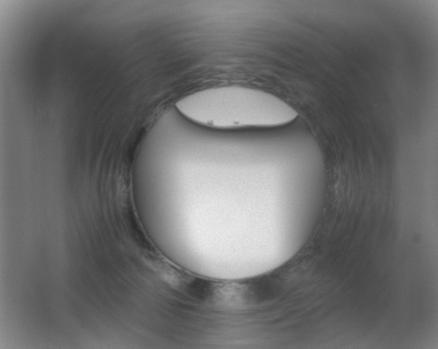 X0000062130226200512090959