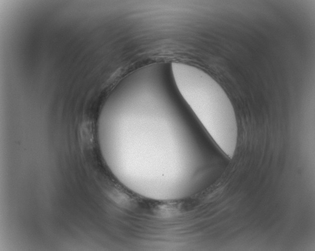 X0000062130232200512090959