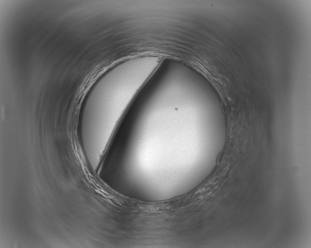 X0000062130241200512090958