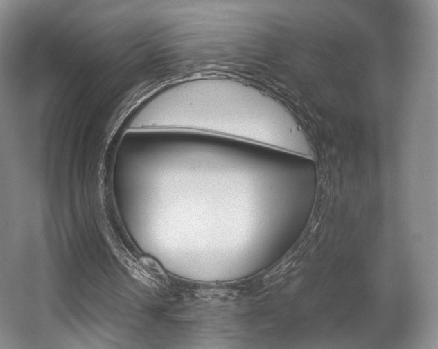 X0000062130242200512090958