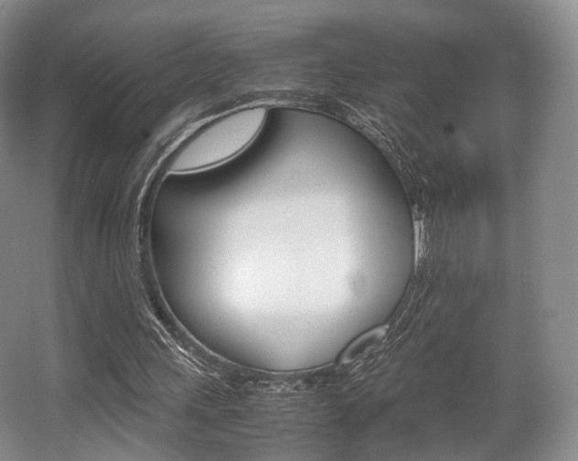 X0000062130243200512090958