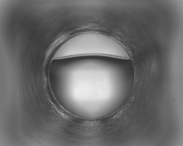X0000062130245200512090958