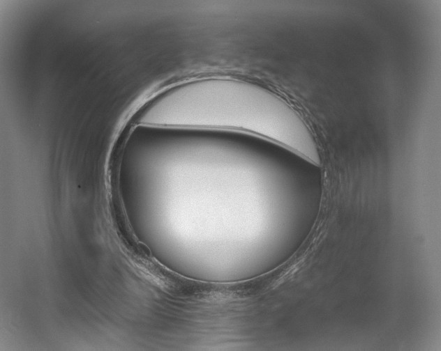X0000062130246200512090958