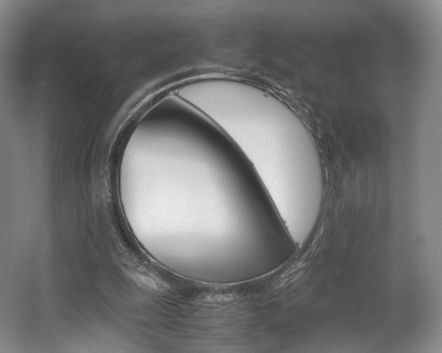 X0000062130247200512090958