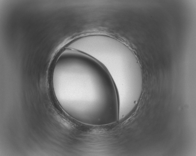 X0000062130248200512090958
