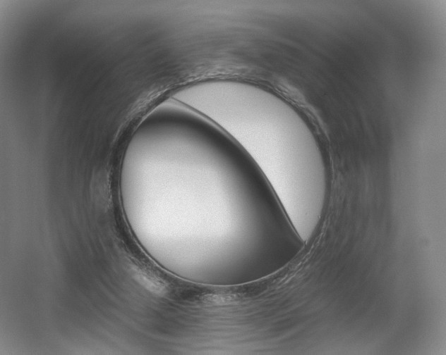 X0000062130250200512090958
