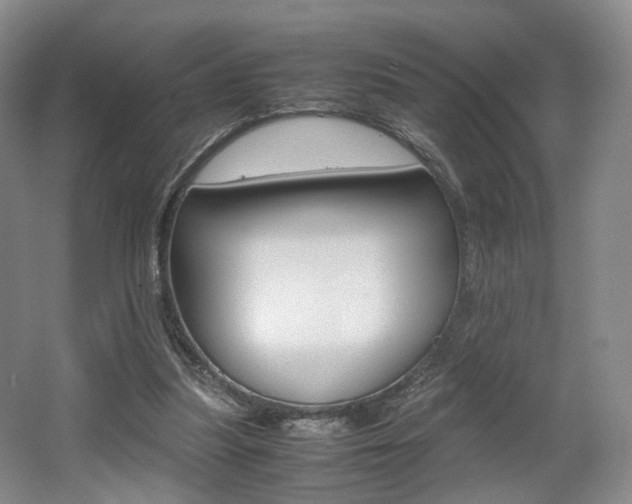 X0000062130251200512090958