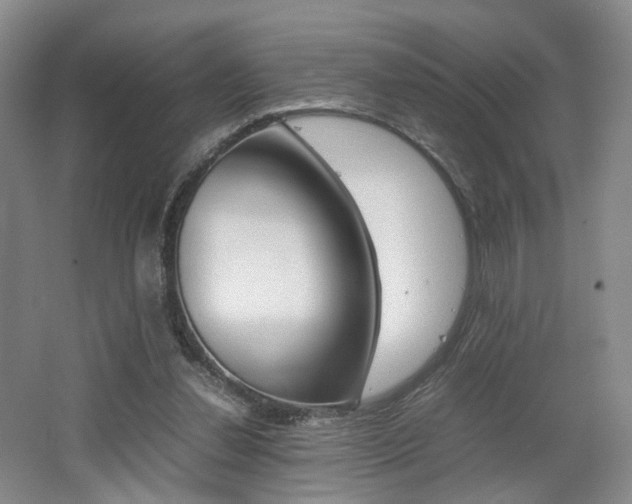 X0000062130252200512090958