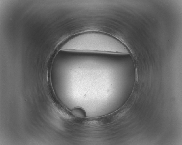 X0000062130253200512090958