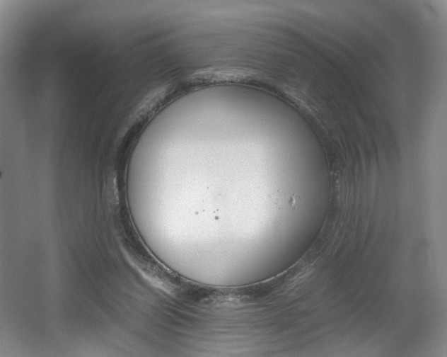 X0000062130254200512090958