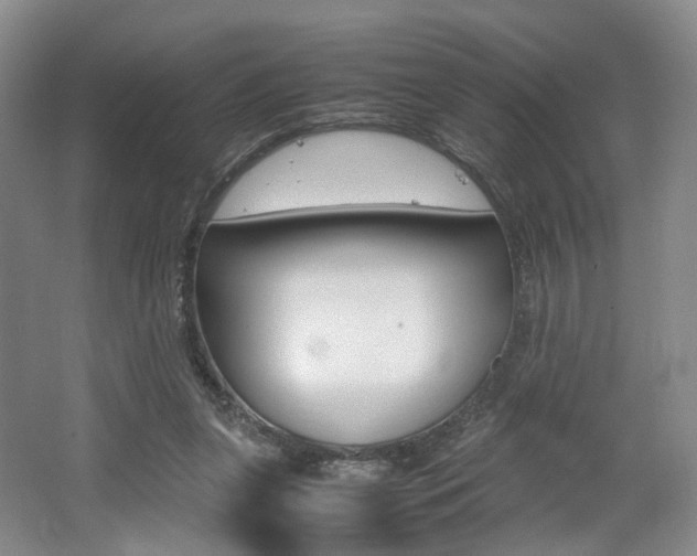 X0000062130255200512090958