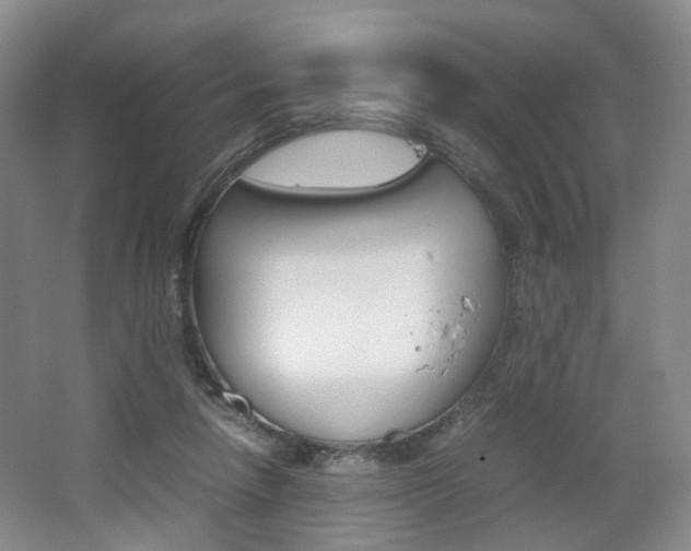 X0000062130258200512090958