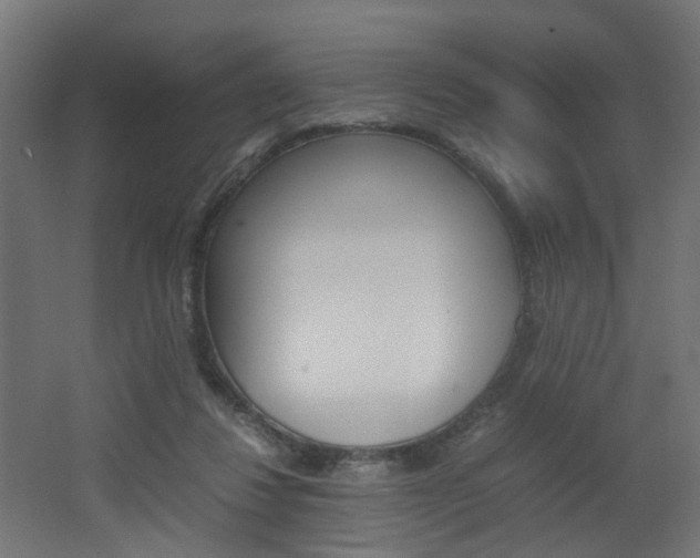 X0000062130260200512090958