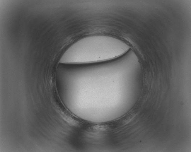 X0000062130261200512090958