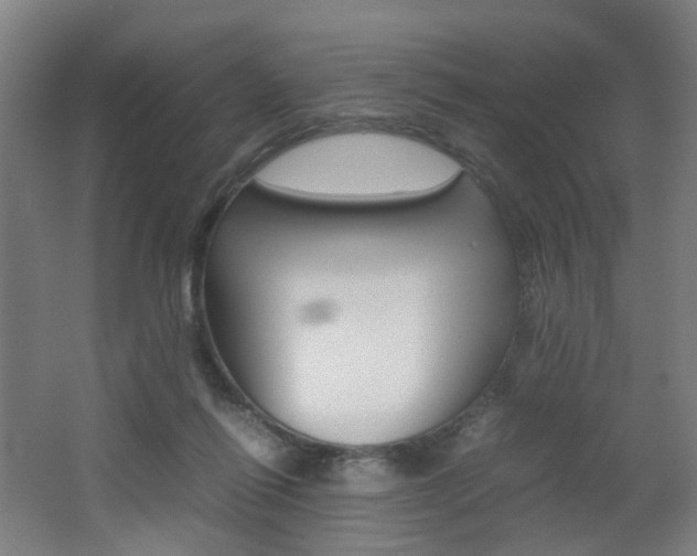 X0000062130262200512090958