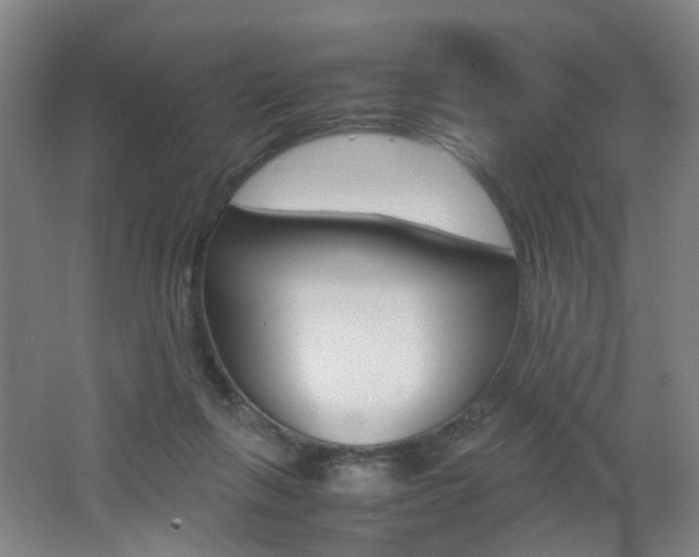 X0000062130263200512090958