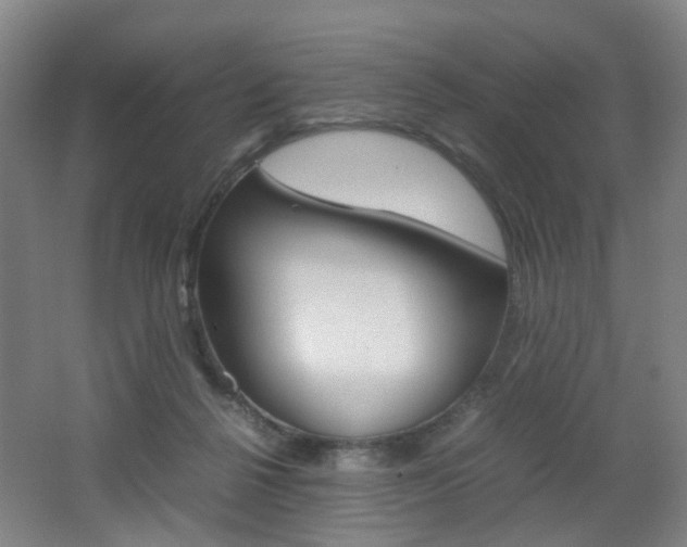 X0000062130264200512090958