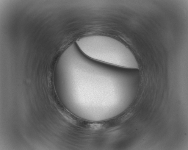 X0000062130265200512090958