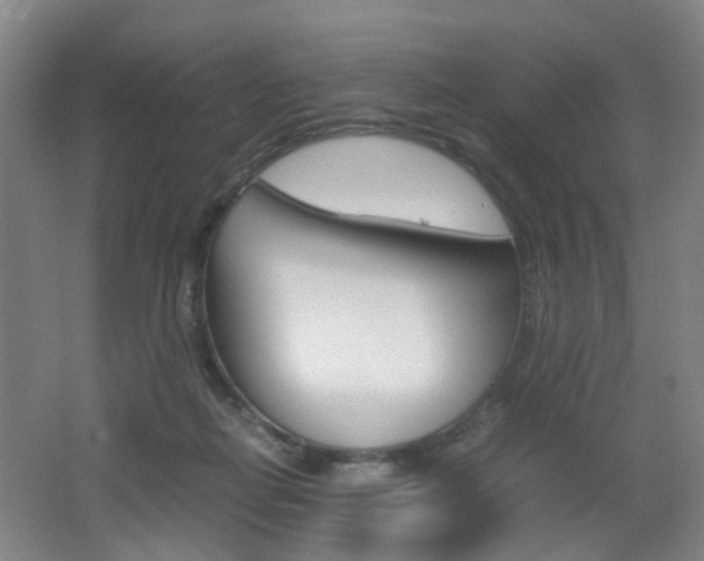 X0000062130266200512090958