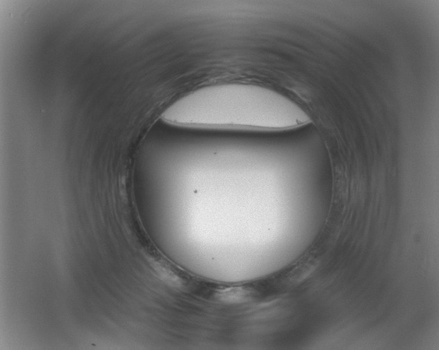 X0000062130269200512090958