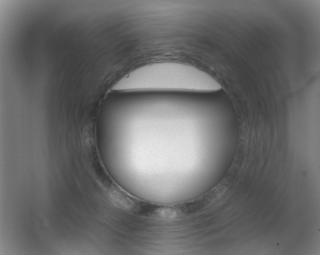 X0000062130272200512090958