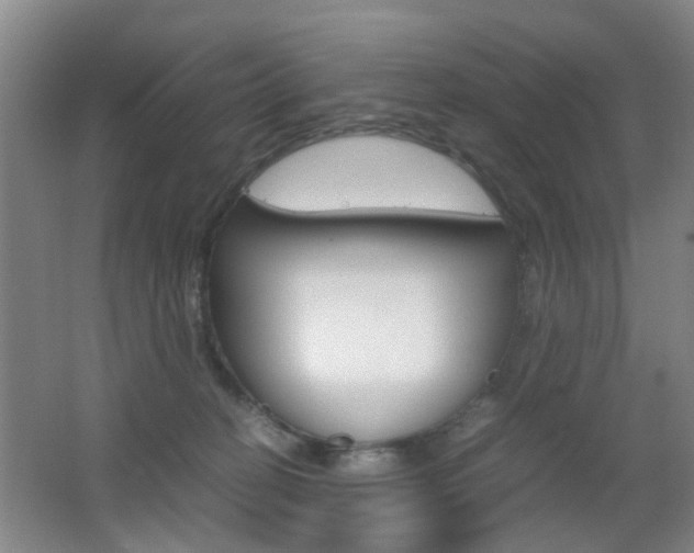 X0000062130274200512090958