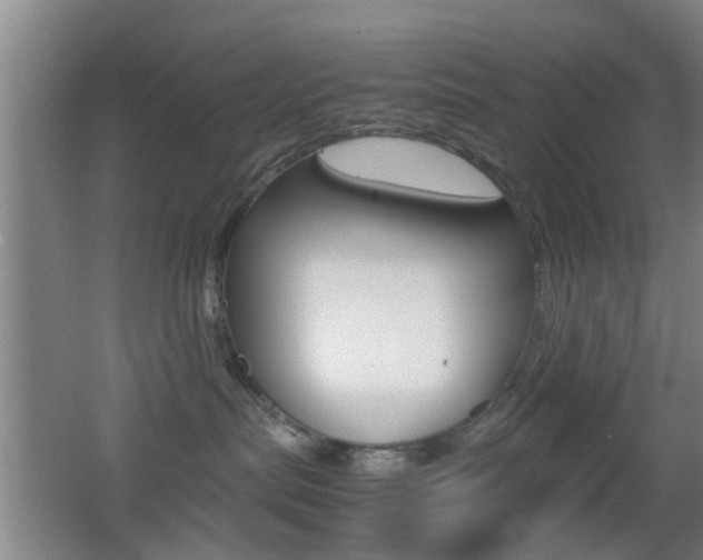 X0000062130287200512090959