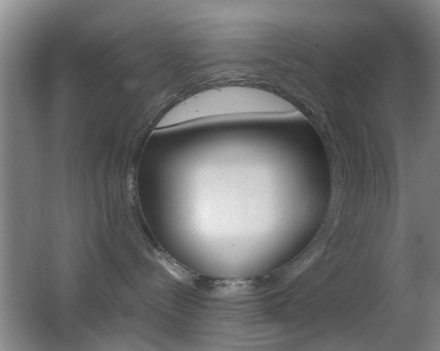 X0000062130288200512090959