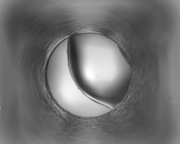 X0000062130289200512090958