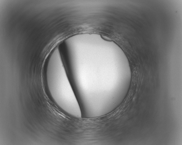 X0000062130290200512090958