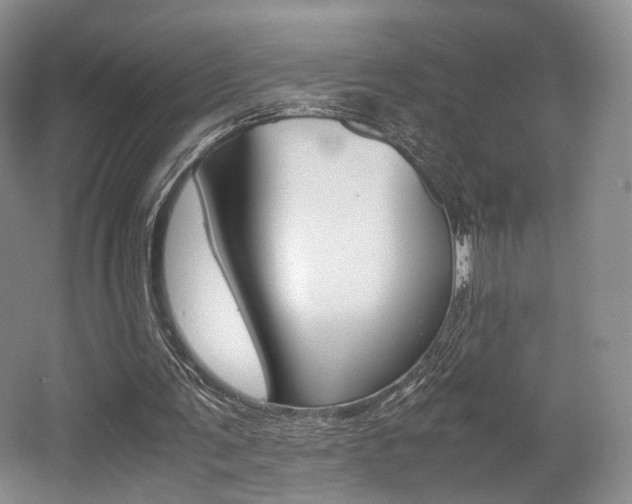 X0000062130291200512090958